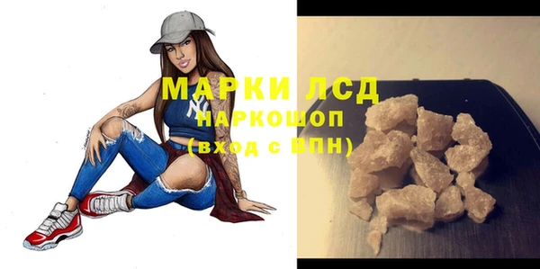 соль ск Новодвинск