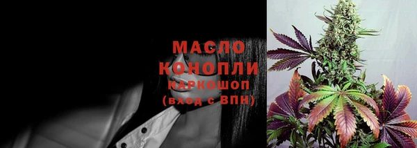 соль ск Новодвинск