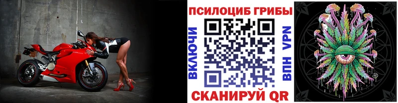 Псилоцибиновые грибы мухоморы  Сорск 